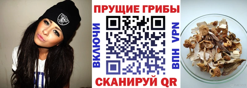 даркнет сайт  Спас-Клепики  KRAKEN ONION  Галлюциногенные грибы MAGIC MUSHROOMS 
